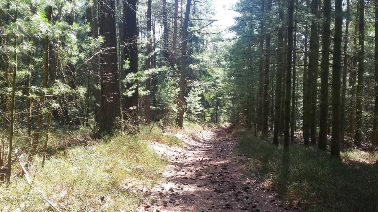 Ferienwohnung Hammergrund Mossautal Екстериор снимка